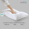 SLIM N FIRM PILLOW