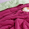 SOLID REVERSIBLE WINTER PLEASURE ALL SEASON DUVET 250 GSM