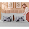 Silver Cloud Elan Mulmul Bed Spread with Embroidered Cushion Covers