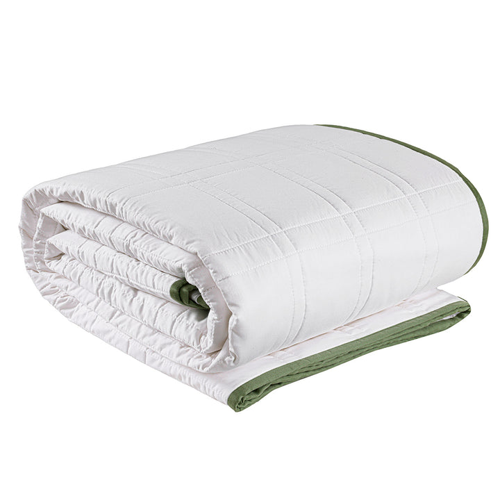 Pure Bamboo Comforter