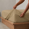 The Essence  - 350 TC Egyptian Cotton Fitted Bed Sheets