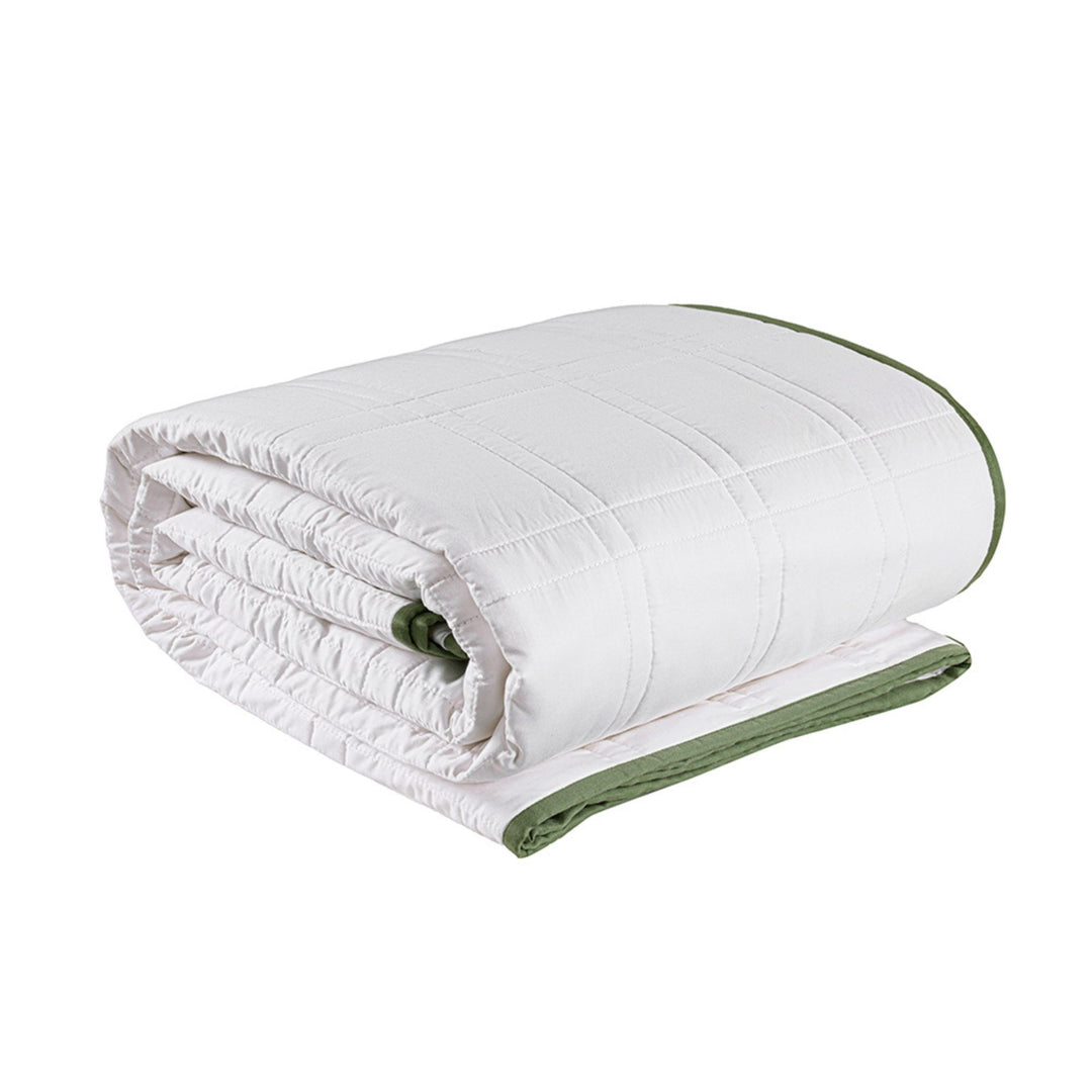 BAMBOO LUXURY Pure Bamboo Comforter 200 GSM