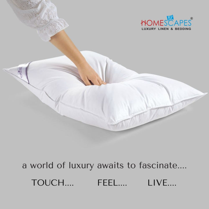CLASSIC 100% FEATHER PILLOW