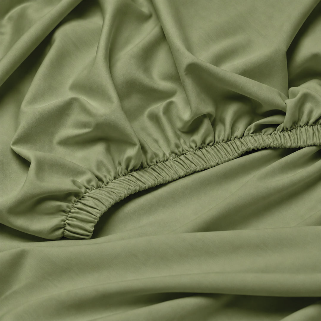 Earth & Elegance  - 450 TC Mercerised Egyptian Cotton Fitted Bed Sheets