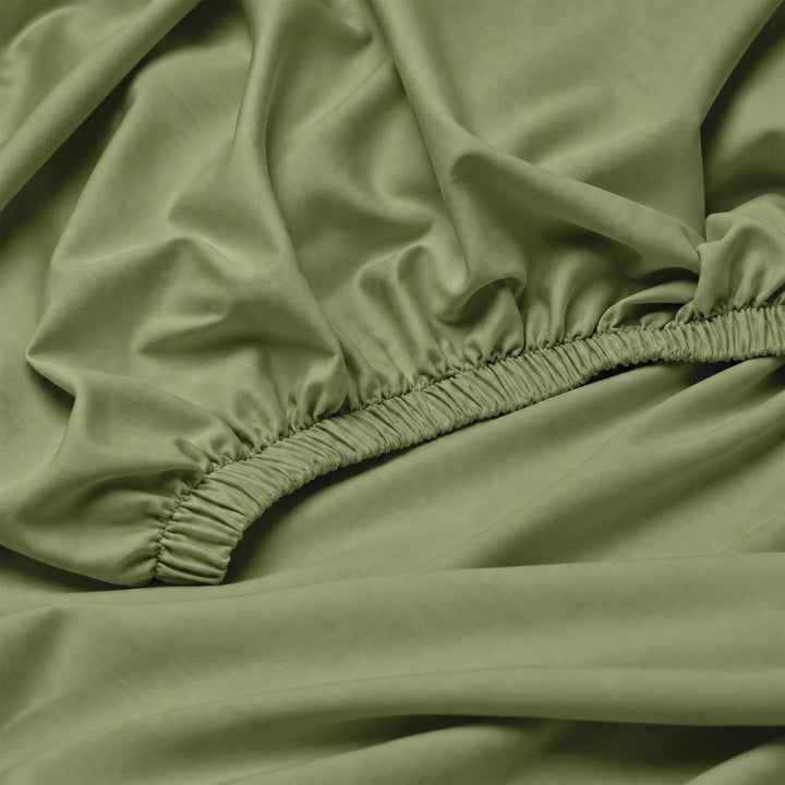 Earth & Elegance  - 450 TC Mercerised Egyptian Cotton Fitted Bed Sheets
