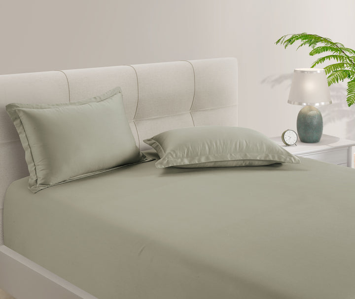 Pure Bamboo Bedding Collection - 350 TC Bedsheets Set