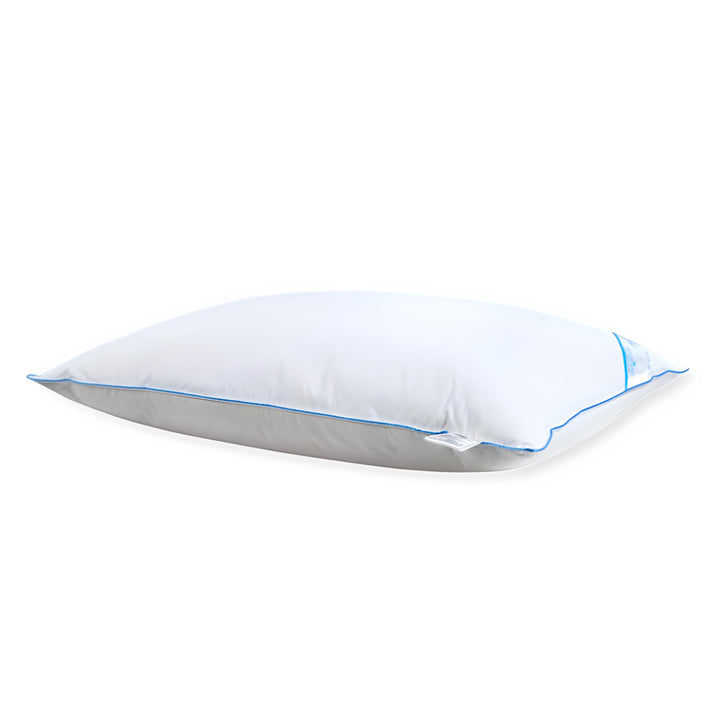 Down Pillow in Pillow