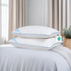 Down Pillow in Pillow