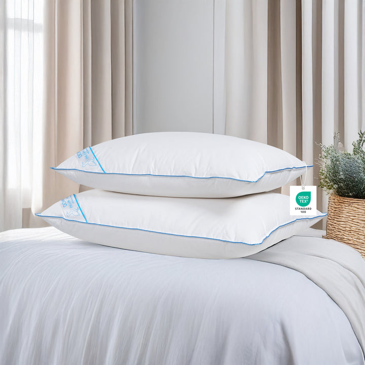 Down Pillow in Pillow
