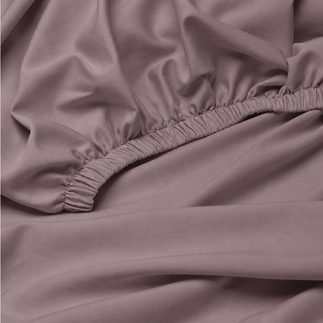 The Essence  - 350 TC Egyptian Cotton Fitted Bed Sheets