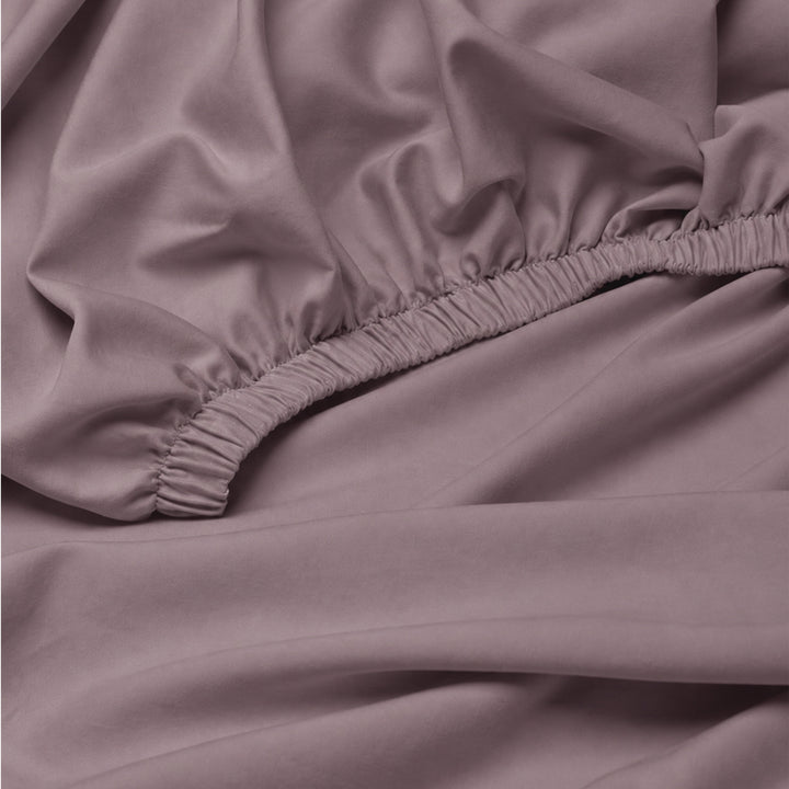 The Essence  - 350 TC Egyptian Cotton Fitted Bed Sheets