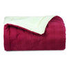 COOL FINISH PREMIUM 500 GSM - SOLID REVERSIBLE WINTER SHIELD ACUTE WINTER DUVET