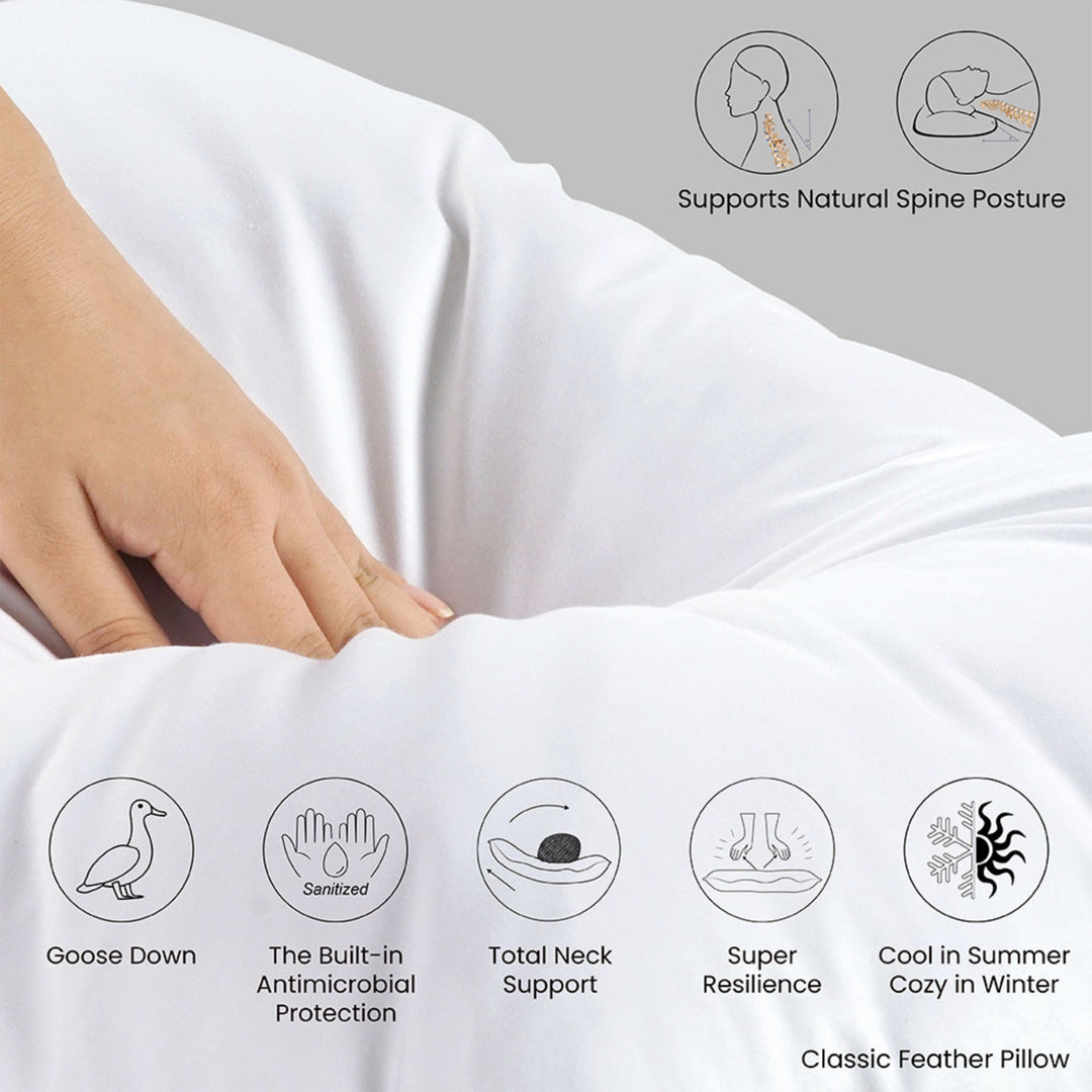 PEARL 50% DOWN & 50% FEATHER PLUSH PILLOW