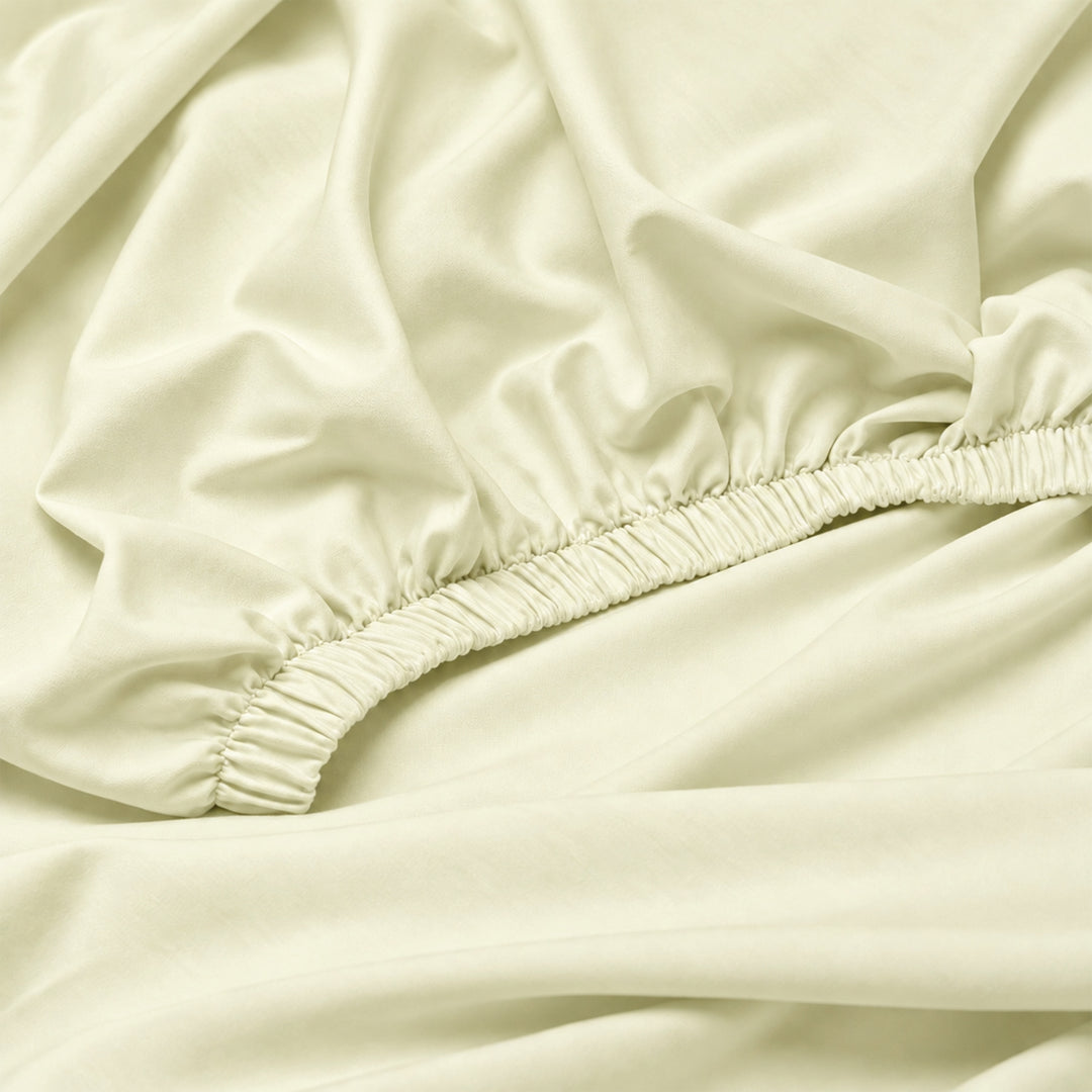 The Essence  - 350 TC Egyptian Cotton Fitted Bed Sheets