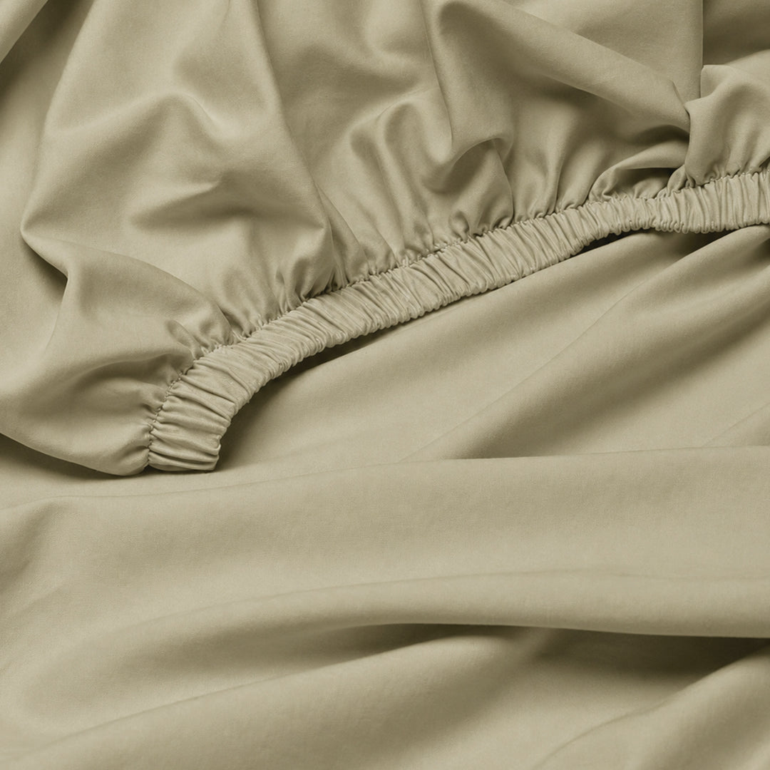 The Essence  - 350 TC Egyptian Cotton Fitted Bed Sheets