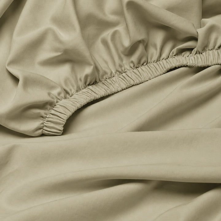 The Essence  - 350 TC Egyptian Cotton Fitted Bed Sheets