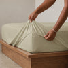 The Essence  - 350 TC Egyptian Cotton Fitted Bed Sheets