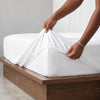 The Essence  - 350 TC Egyptian Cotton Fitted Bed Sheets